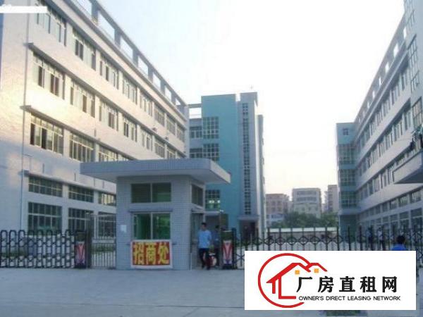  中堂标准一楼厂房300-2000平米低价招租