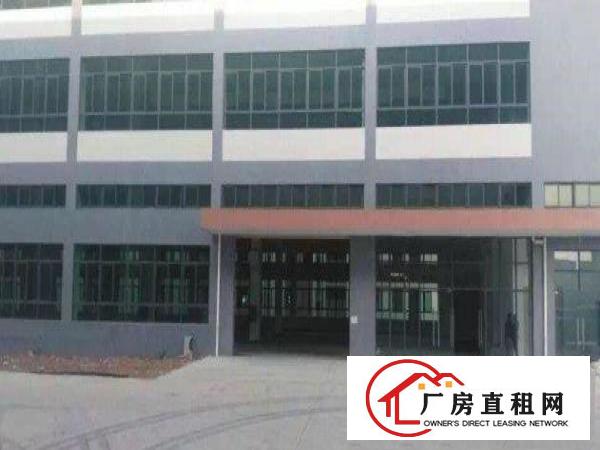  中堂标准一楼厂房300-2000平米低价招租