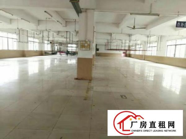  中堂独门独院标准三层9000平方厂房出租电按需,适合各行各业