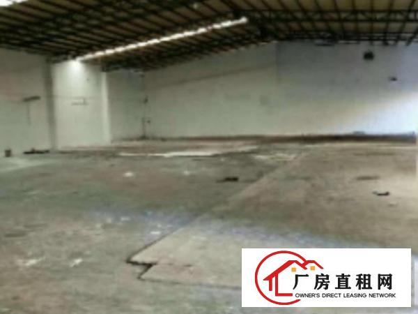  中堂新出独门独院花园式单一层厂房1800平方出租宽敞通透无柱
