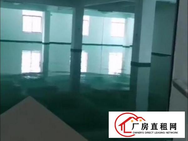  全新地坪漆，交通方便，现成装修，证件齐全，可办环评消防