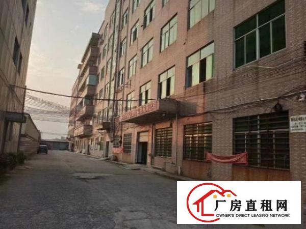  东莞市中堂镇个人厂房出租