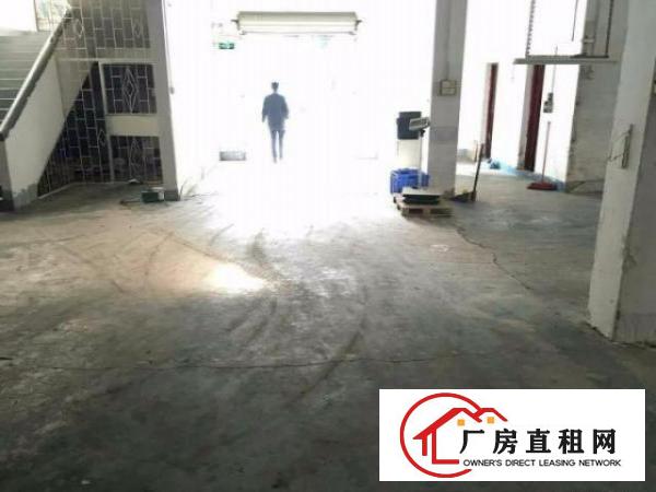  中堂四乡村300平方米标准一楼厂房仓库出租