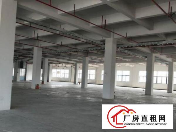  中堂一楼1200平方可分租，高度6米，可办环评