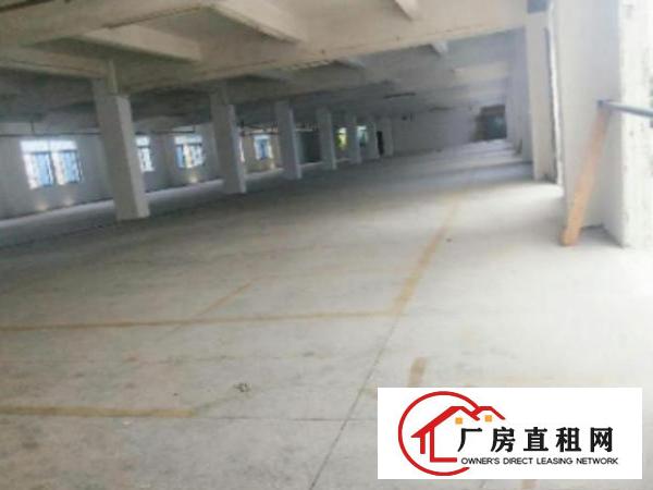  ​中堂新出独院标准楼房3层4800平方出租可分租500方起租
