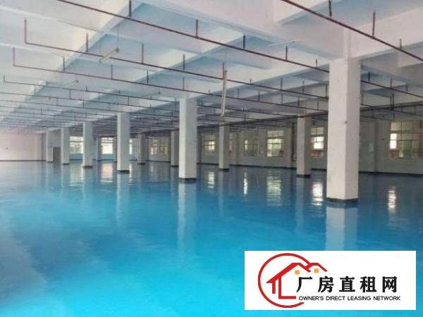  全新标准厂房带地坪漆出租