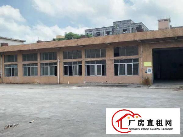 马路边独院单一层房东招租