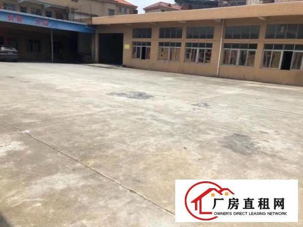  马路边独院单一层房东招租
