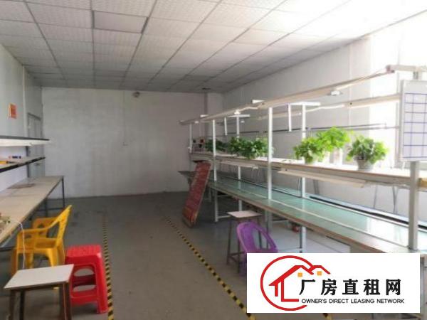  中堂斗朗社区厂房二楼800平出租设施齐全