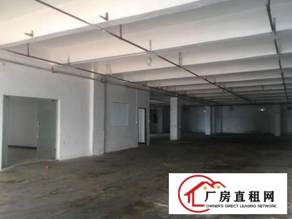  中堂马沥村新出650平，带水电办公室