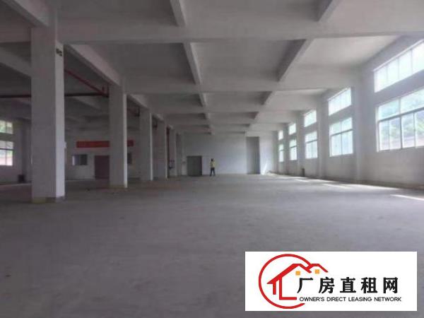 中堂一村村900平标准一楼带装修，消防有证