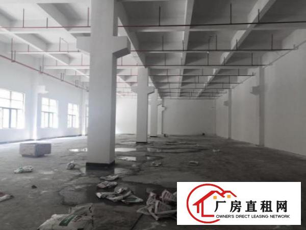  中堂鹤田村工业区新出一楼厂房1200平出租