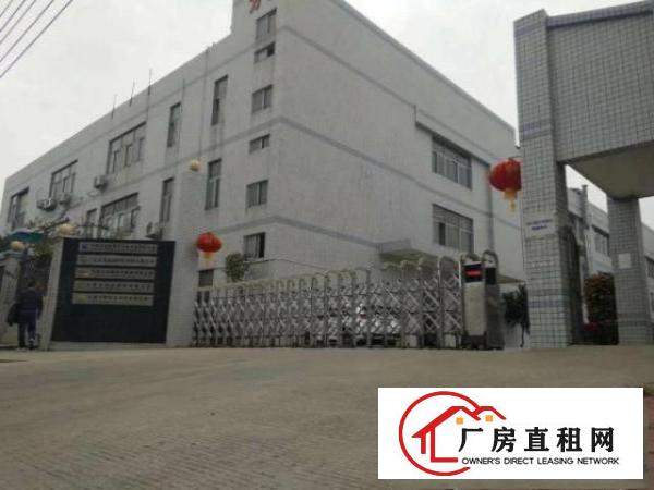  中堂袁家涌村新出厂房一楼1000平方厂房出租