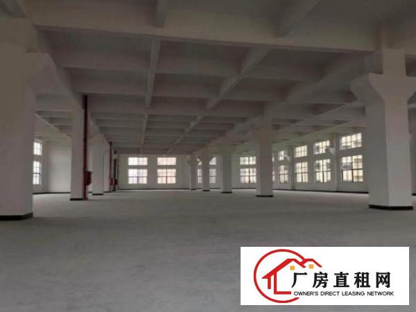  中堂江南社区出租100租做污染工业用地可办环评