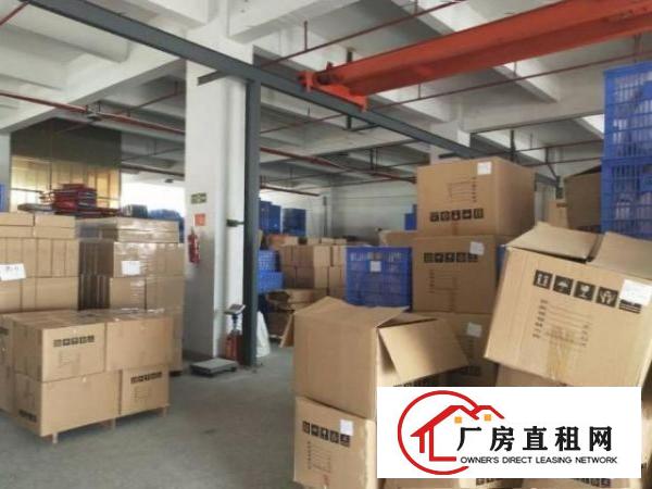  中堂下芦村新空出一楼1200，楼上1650带装修
