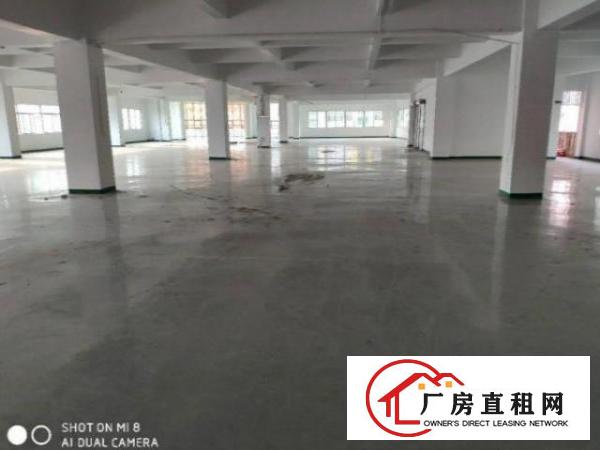  中堂吴家涌村800平方带装修厂房出租仓库出租
