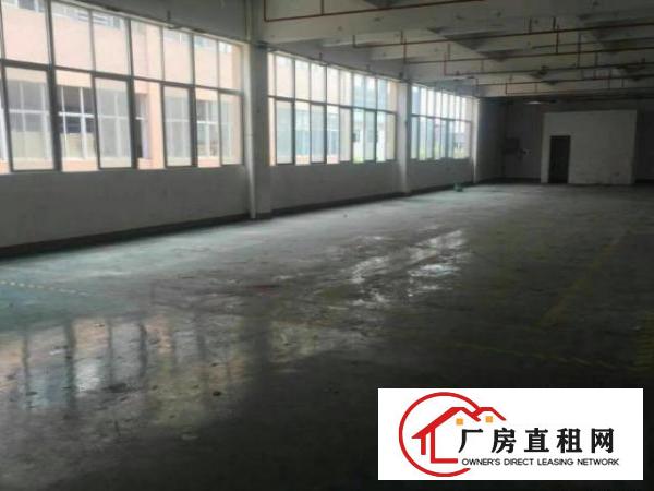  中堂新出独门独院厂房5200平方出租