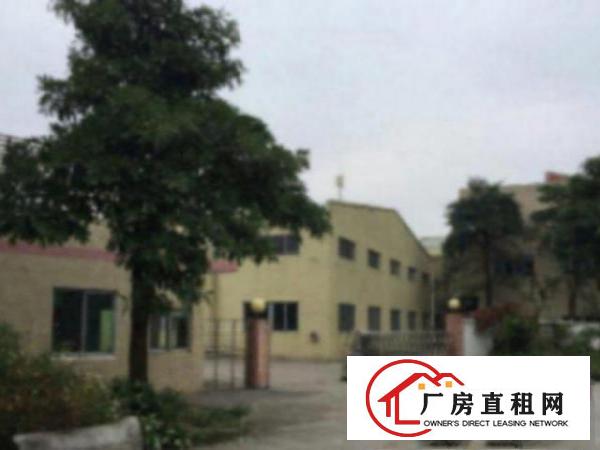  中堂交通方便独院单一层900平方厂房仓库出租招租