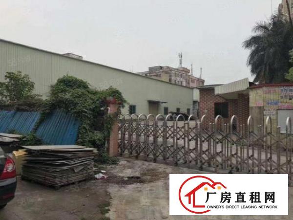  中堂新出可以做抽粒的厂房，独门独院