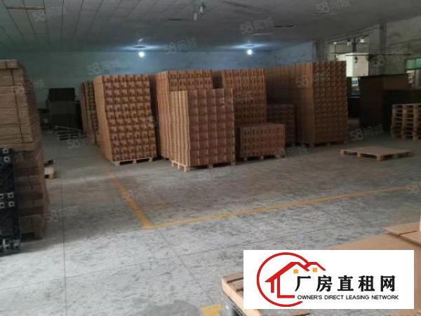  中堂原房东现成纸箱环评厂出租，2500平方，租金便宜