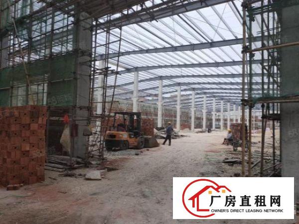  中堂镇独门独院单一层4000平方厂房带牛角出租。