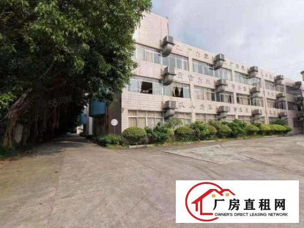  中堂镇花园式标准厂房可分租可办环评。
