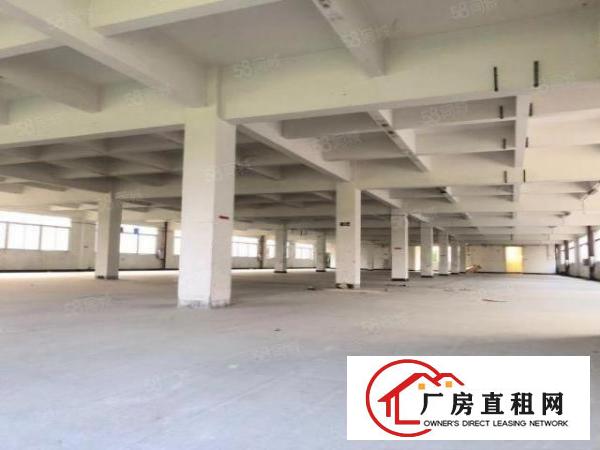  中堂镇花园式标准厂房可分租可办环评。