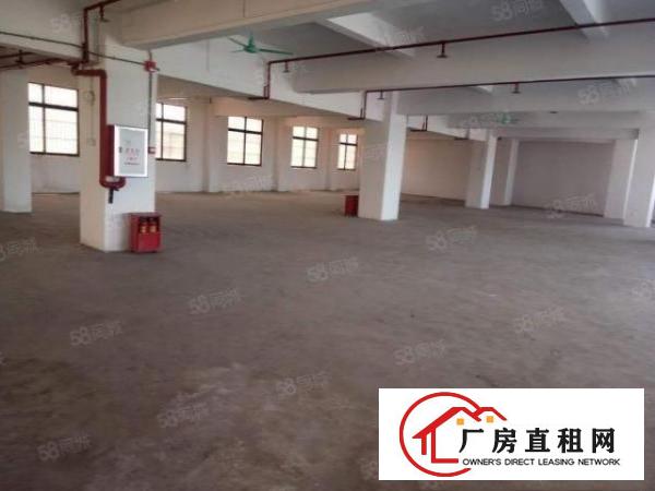  中堂新出小厂房1000平方出租带电梯消防喷淋，证件齐全