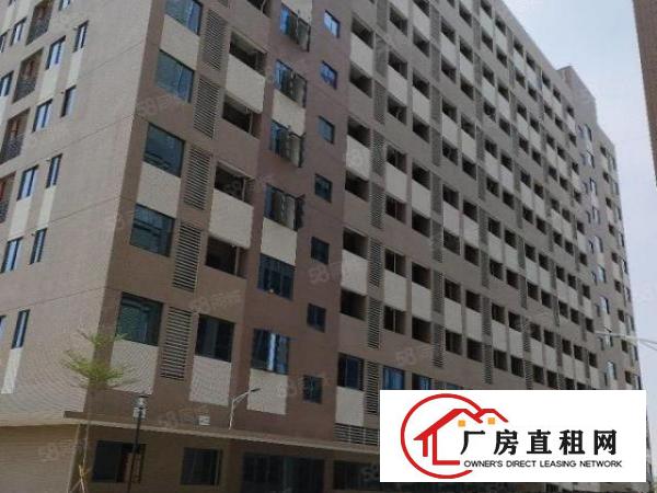  中堂镇高大上（500至100000方)厂房出租包办环评