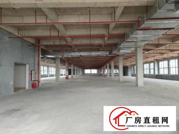  中堂镇高大上（500至100000方)厂房出租包办环评