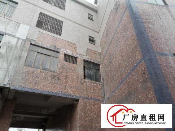  中堂镇原房东两层1000平方独院厂房出租