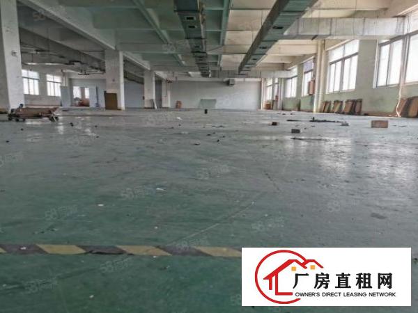  中堂新出九成新标准厂房2600平出租现成水电消防无公摊