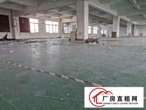  中堂新出九成新标准厂房2600平出租现成水电消防无公摊