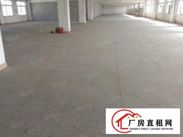  中堂新出九成新标准厂房2600平出租现成水电消防无公摊