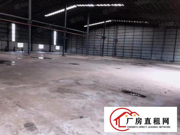 中堂新建厂房1550平，滴水8米，独门独院空地2000平。