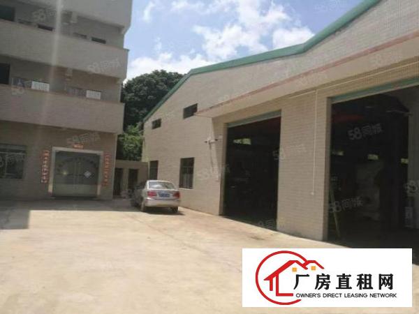  中堂原房东出租3500平方厂房大路边
