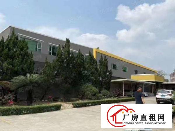  （便利）中堂大马路旁1500平方单一层超低价