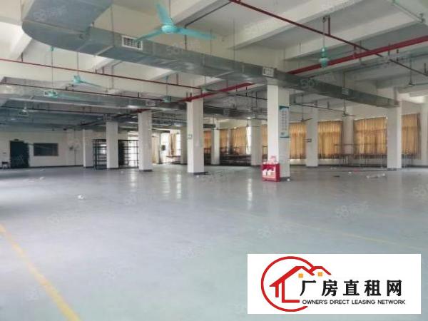  中堂独门独院厂房4800平方出租