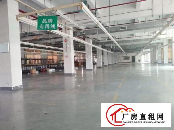  中堂独门独院厂房4800平方出租