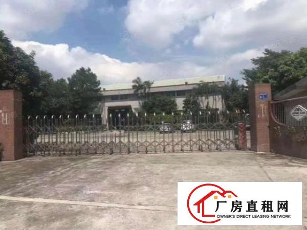  中堂新出原房东单一层8米高，带行车，面积2500平方，