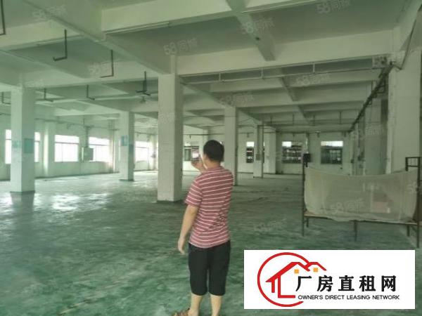  中堂镇南潢路原房东5300平方标准厂房低价出租