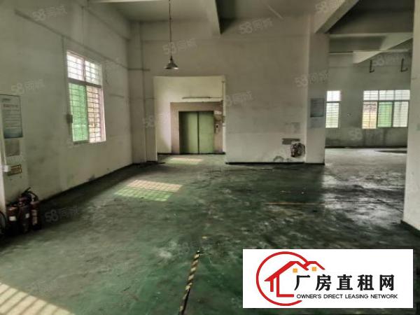  中堂镇南潢路原房东5300平方标准厂房低价出租