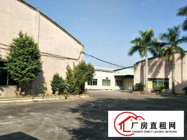  （原房东）！！中堂新空出独院厂房2500平方有绿化
