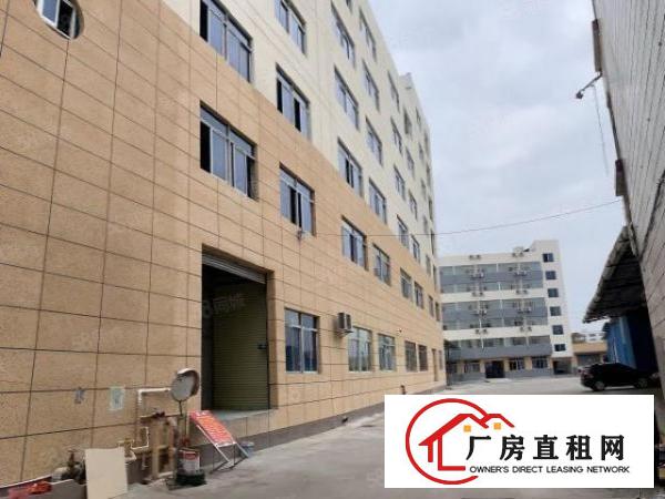  出租中堂2楼12元平方。6楼10元平方厂房出租