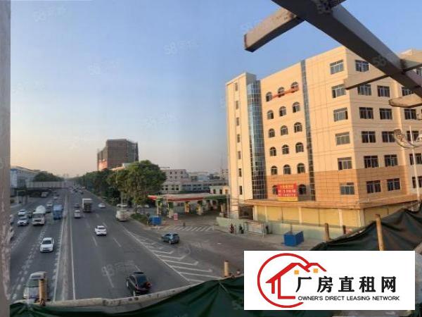  出租中堂2楼12元平方。6楼10元平方厂房出租