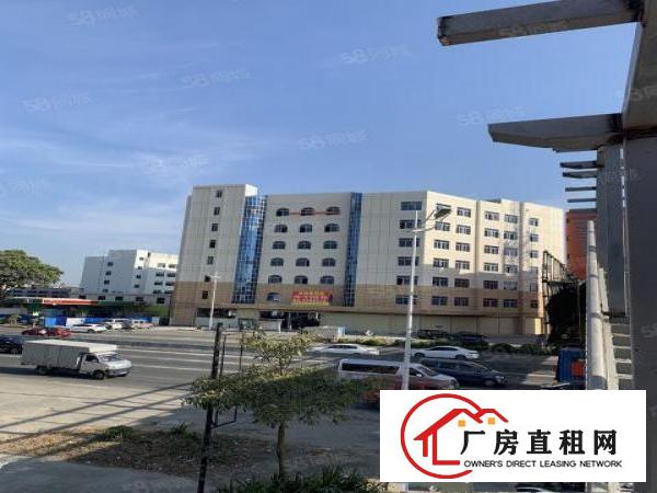  出租中堂2楼12元平方。6楼10元平方厂房出租