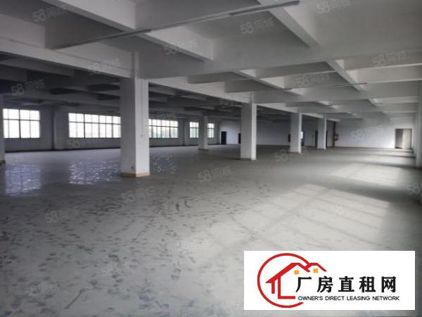  原房东独门独院标准三层带办公宿舍独立变压器独立货梯厂房