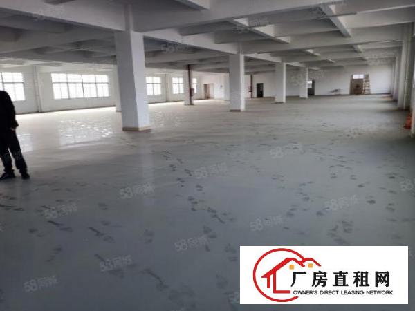  原房东独门独院标准三层带办公宿舍独立变压器独立货梯厂房
