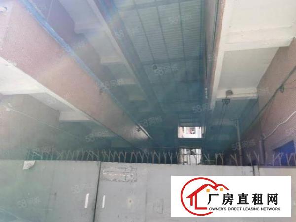  （原房东）2层标准楼房1100平方出租