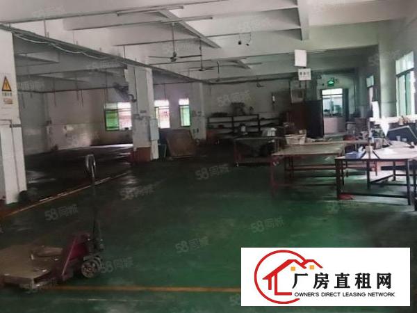  中堂镇现成装修标准厂房700平方，现成装修办公室带宿舍